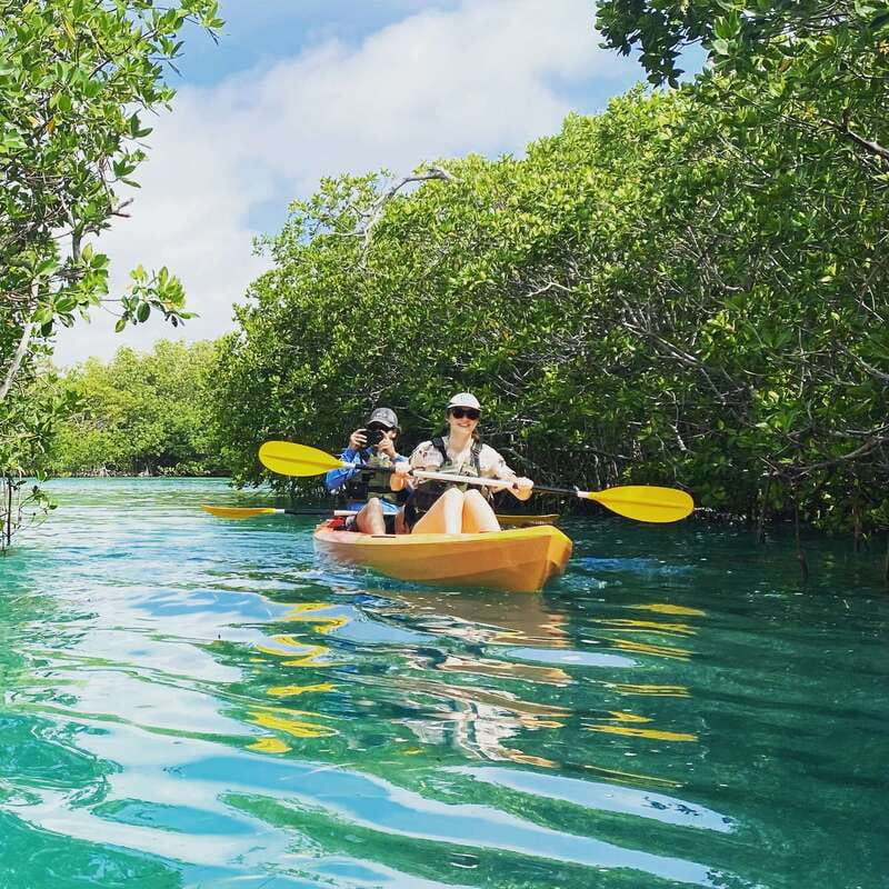 Cancún: Morning or Sunset Kayak Adventure in Nichupte Lagoon - Who This Kayak Tour Fits Best, Including a Few Edge Cases