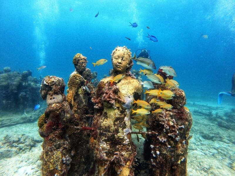 Cancun: Musa Underwater Museum & Reef Discover Scuba Diving - The 105-Minute Safety Briefing and Pool Skills You Actually Need