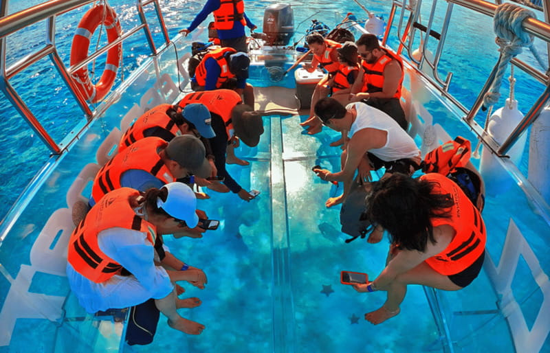Cancún: Nichupté Lagoon Transparent Boat Tour with Drinks - Value for $40: what you get, what you do not
