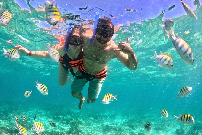 Cancun Private Catamaran Cruise– Open Bar & Snorkeling Experience - Boat Comfort, Cleanliness, and What “Spacious” Means Onboard