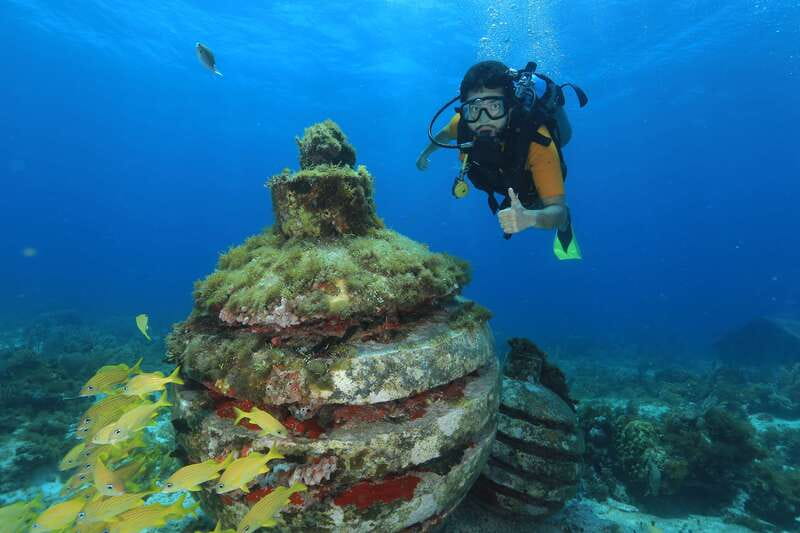 Cancun: Scuba Diving for Beginners, 2 Dives - The half-day schedule: from 8:00 AM check-in to 1:00 PM return