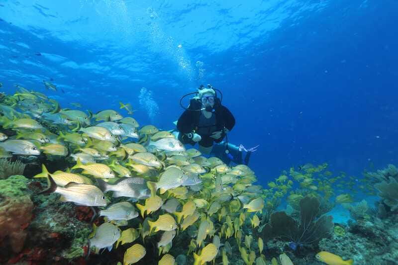 Cancun: Scuba Diving for Beginners, 2 Dives - Health and age limits: the safety rules you must follow
