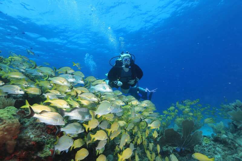 Cancun: Scuba Diving for Beginners, 2 Dives - Pool lesson first, then you go ready (not guessing)