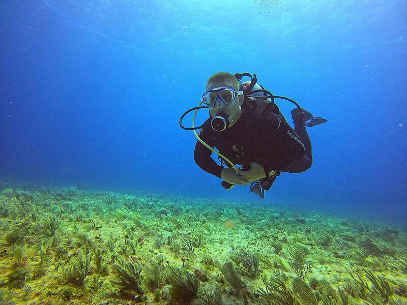 Cancun: Scuba Diving for Certified Divers, 3 options to dive - Where this happens in Cancun, and why the schedule feels efficient