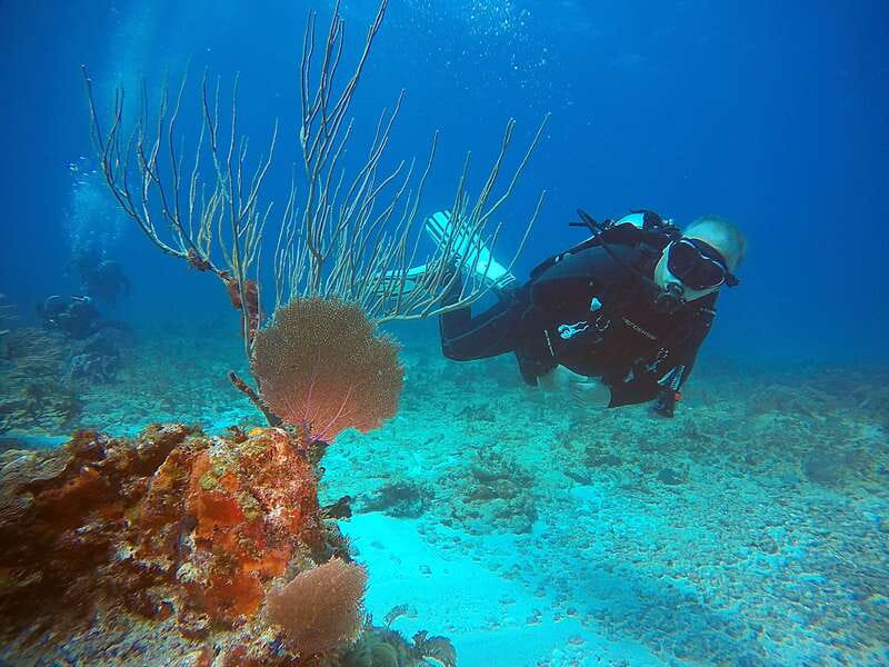Cancun: Scuba Diving for Certified Divers, 3 options to dive - Price, entrance fees, and what to budget beyond $161