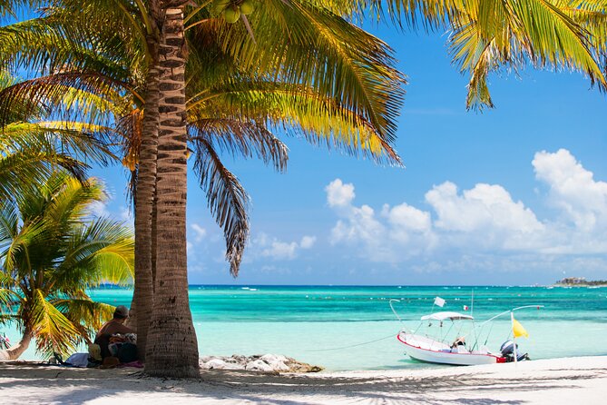 Cancun: Sea turtles and Cenote Tour With Pick Up from your Hotel - Snorkeling for sea turtles in Akumal: what you are really paying for