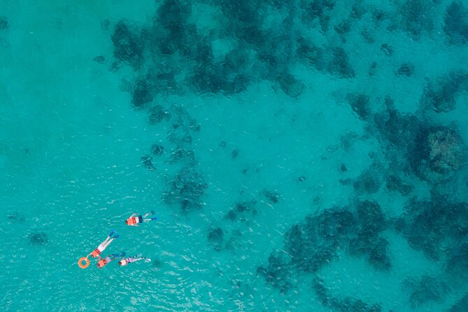 Cancun: Sea turtles and Cenote Tour With Pick Up from your Hotel - Timing and stamina: snacks, cold water, and how to pack smart