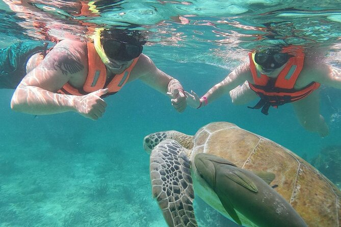 Cancun: Sea turtles and Cenote Tour With Pick Up from your Hotel - Price and logistics: is $77 a good deal for this combo?