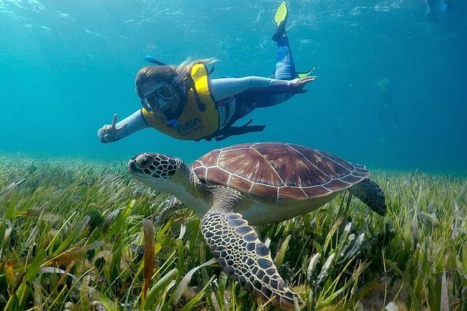 Cancun Snorkeling Adventure: Turtles, Reefs & Underwater Wonders - Entering MUSA: Underwater statues and submarine art galleries