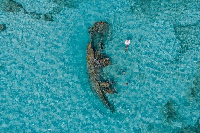 Cancun Snorkeling Adventure: Turtles, Reefs & Underwater Wonders - Safety and comfort: Gear, lifejackets, and a real extraction plan