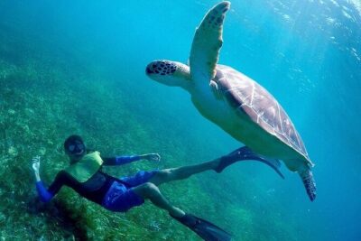 Cancun Snorkeling Adventure: Turtles, Reefs & Underwater Wonders