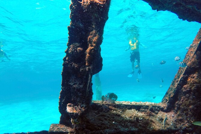 Cancun Snorkeling Adventure: Underwater Museum, Reef & Shipwreck - Safety and Guide Care: Why This Trip Gets Repeated Praise