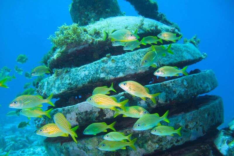 Cancun: Snorkeling at Underwater Museum & Manchones Reef - MUSA Underwater Museum, art you can snorkel past