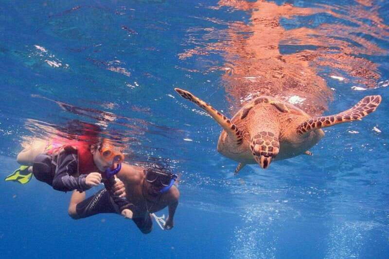 Cancun: Snorkeling at Underwater Museum & Manchones Reef - How the 4-hour plan really works (and how to pace yourself)