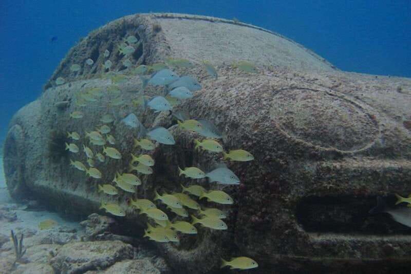 Cancun: Snorkeling at Underwater Museum & Manchones Reef - Price and value: what $59 covers, what costs extra