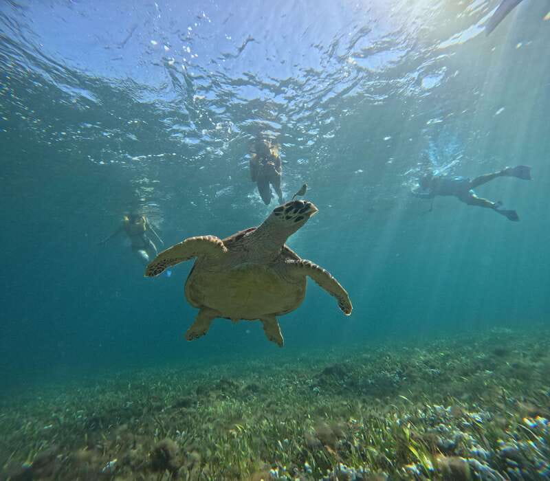 Cancun: Snorkeling Boat Tour with Gear - The short briefing that makes snorkel time feel easy
