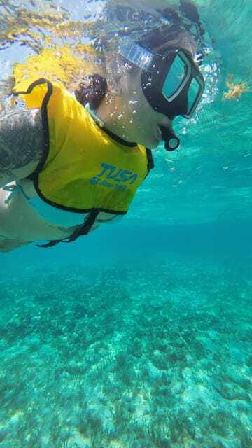 Cancun: Snorkeling Boat Tour with Gear - Underwater cenotes you can view from the surface