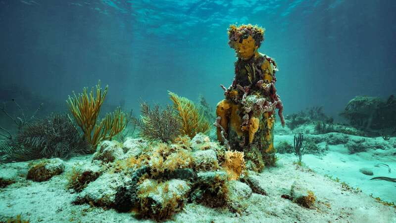 Cancun: Snorkeling Tour at MUSA The Underwater Museum - Key things I’d circle before you go