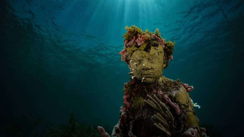 Cancun: Snorkeling Tour at MUSA The Underwater Museum - The value: art, reef, and real snorkeling time in 4.5 hours