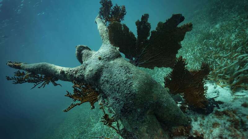 Cancun: Snorkeling Tour at MUSA The Underwater Museum - Second stop at Manchones Reef: wildlife spotting with turtles and rays in mind