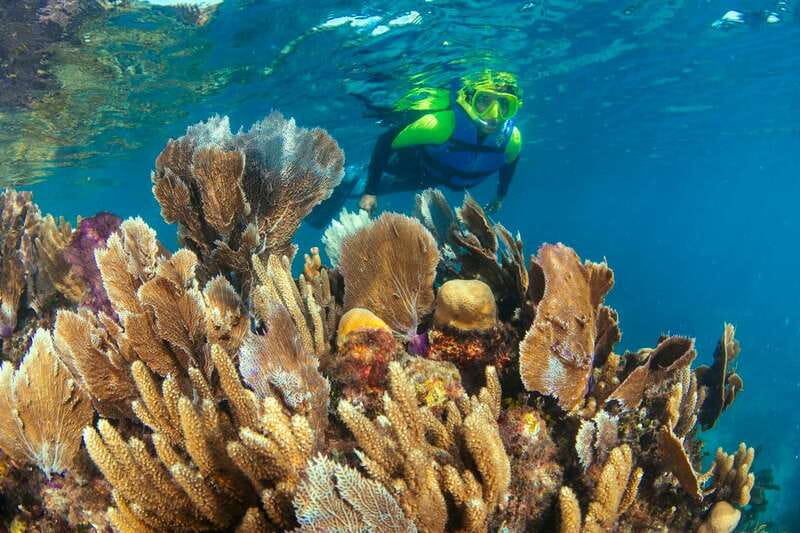 Cancun: Snorkeling Tour at MUSA The Underwater Museum - Price and logistics: what $58 really means, plus the 20 USD dock fee