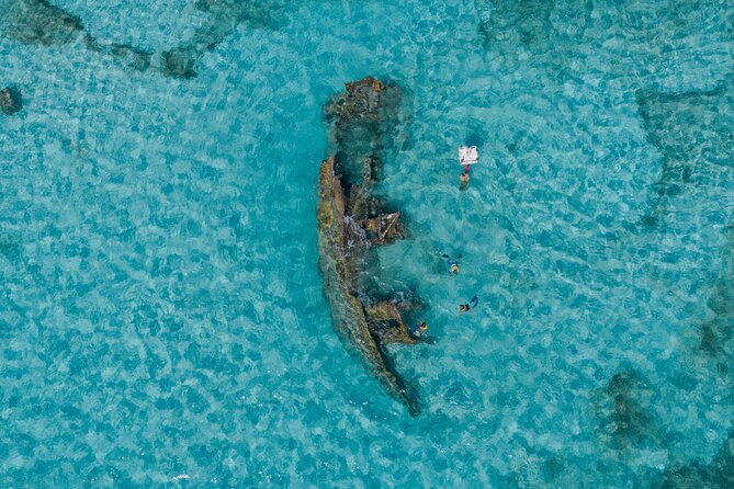 Cancun Snorkeling Tour: Swim with Turtles, Reef, Underwater Museum and Shipwreck - Stop 1 at MUSA: Blessings and Aquarium Family statues