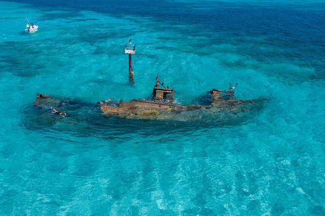 Cancun Snorkeling Tour: Swim with Turtles, Reef, Underwater Museum and Shipwreck - Stop 2 at El Meco reef: turtles, possible rays, and a shipwreck