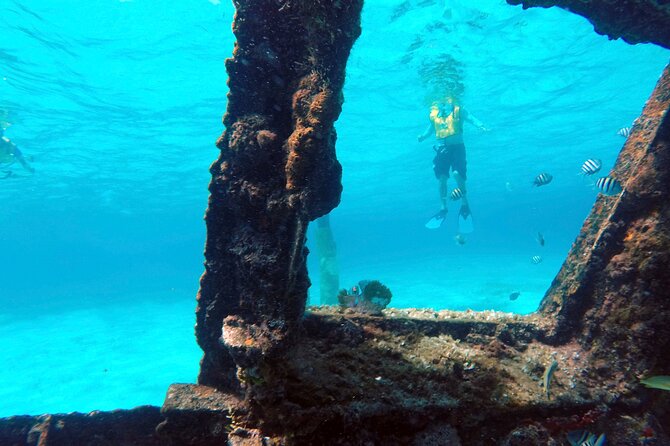 Cancun Snorkeling Tour: Swim with Turtles, Reef, Underwater Museum and Shipwreck - Who should book this tour, and who should think twice