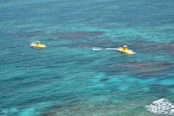 Cancun Submarine and Optional Snorkeling Tour - Price and value check: is $58 worth it, plus the dock fee?