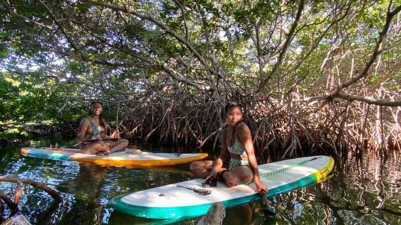 Cancun: Sunrise/Sunset Stand-Up Paddleboarding Tour - The Nature Side of Cancun: Birds, Calm Water, and Real Quiet