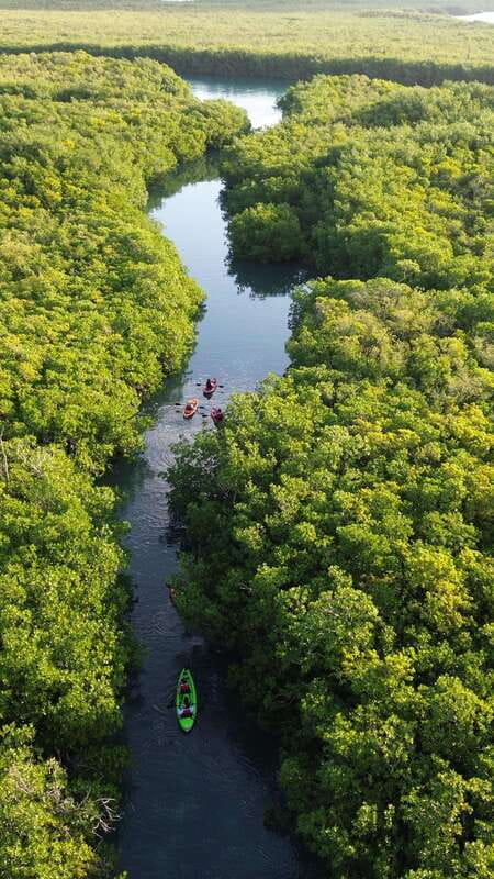 Cancun: Sunset Kayak Experience in the Mangroves - Getting started at Go Kayak Cancun, Marina Scuba Cancun