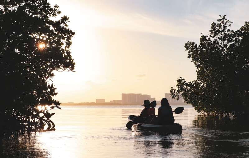 Cancun: Sunset Kayak Experience in the Mangroves - Wildlife spotting mindset: more than just eyes