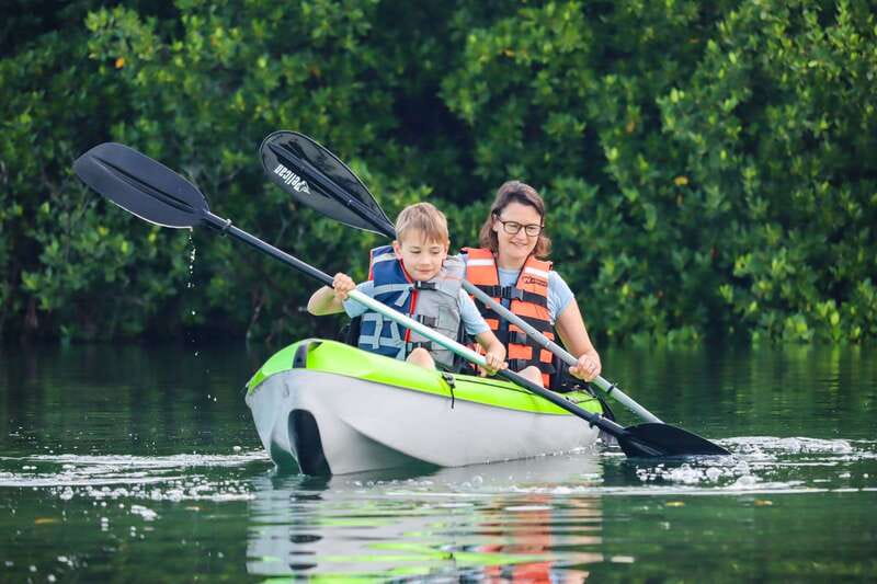 Cancun: Sunset Kayak Experience in the Mangroves - Price and value: what $47 buys you in real terms