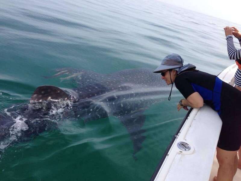 Cancún: Swim with Whale Sharks - Price and value: is $160 per person worth it?