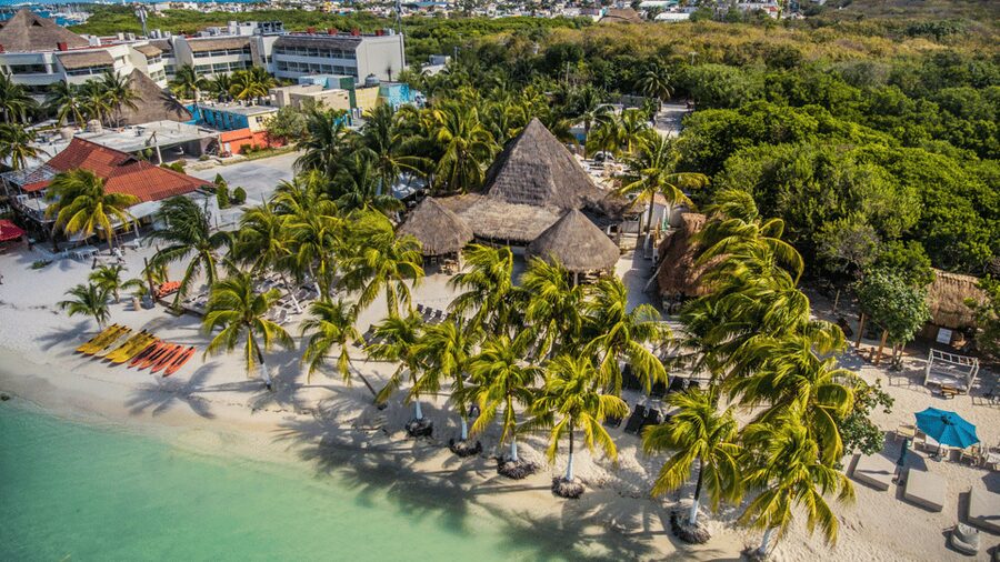 Cancún: Swim with Whale Sharks & Playa Norte Beach - Key things to know before you go