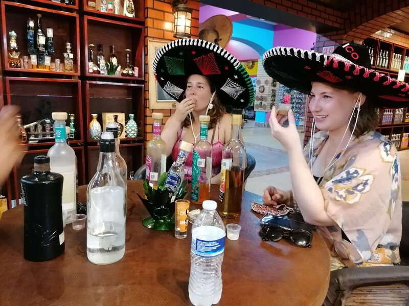 Cancun Taco Tour: Street Food & Tequila Tasting in Downtown - Your taco game plan: what you eat and why it matters
