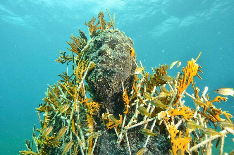 Cancún: Underwater Museum & Reef for Certified Scuba Divers - Cancún MUSA: art underwater, reef recovery as the goal