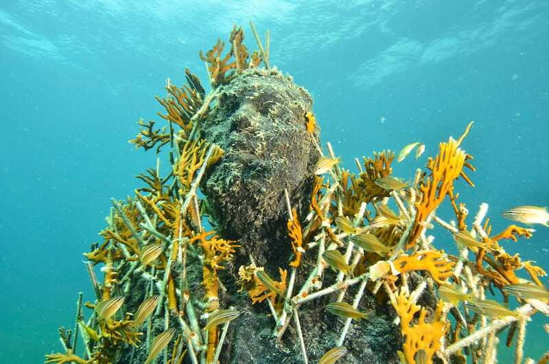 Cancún: Underwater Museum & Reef for Certified Scuba Divers - Tank one at MUSA: the coral-covered sculpture gallery