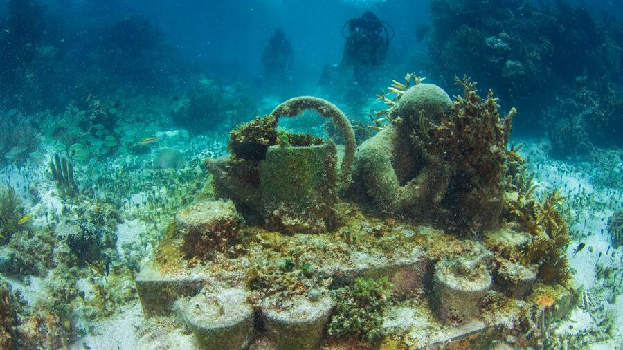 Cancún: Underwater Museum & Reef for Certified Scuba Divers - Tank two at Manchones Reef: natural reef life, turtles, and stingrays