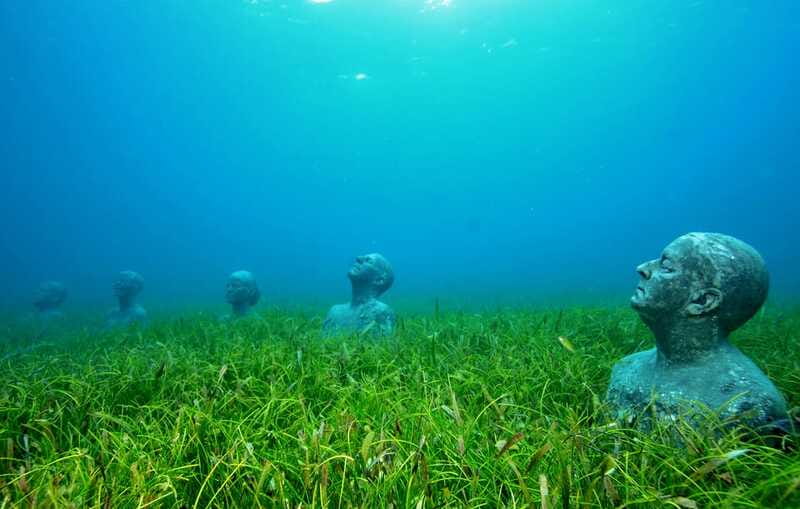 Cancún: Underwater Museum & Reef for Certified Scuba Divers - Price and costs: what $98 really covers
