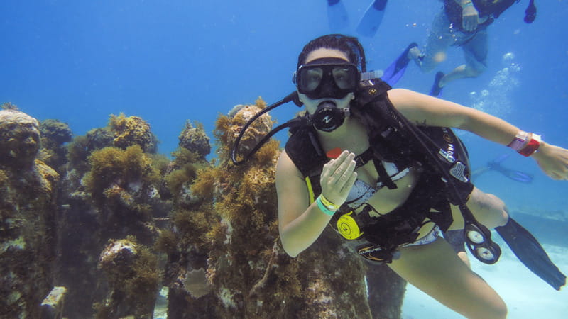 Cancún: Underwater Museum & Reef for Certified Scuba Divers - Safety, certification, and the medical form you must take seriously