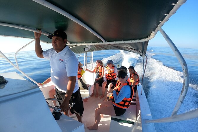 Cancun Whale Shark Experience with Snorkel & Transportation - Price and Value: What $210 Buys, Plus the $20 Dock Fee