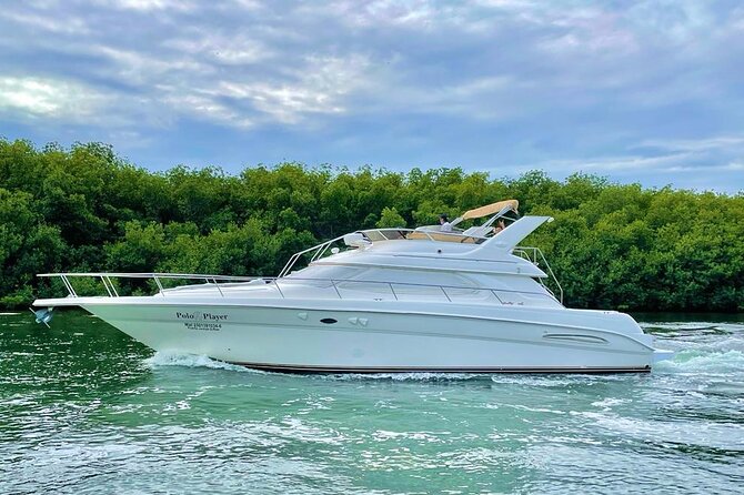 Cancun Yacht Tour - SEARAY YACHT 46 FT GREAT FOR SUNSET 15 PEOPLE MAX 25P9 - Price Breakdown: What $370 Covers, Plus Dock Fees and Alcohol