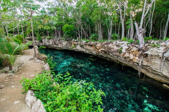 Casa Tortuga Cenote Park and Tulum Ruins! Eco Tour from Cancun - What you eat on this tour, and why it helps