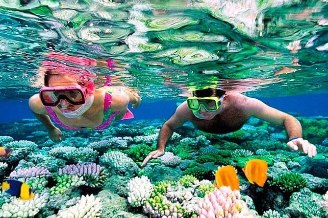 Catamaran adventure to Isla Mujeres with Snorkel,Buffet,Open Bar and Beach Club - The Return Sail: Last Drinks, More Views