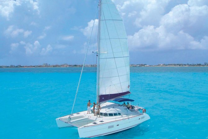 Catamaran and snorkel in isla mujeres - Snorkeling on Isla Mujeres: sponges, coral, and bright reef fish