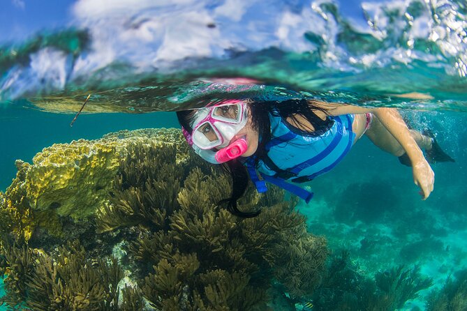 Catamaran Cruise to Isla Mujeres with Snorkeling and Lunch - Catamaran Day on the Caribbean, Punta Sam to Isla Mujeres