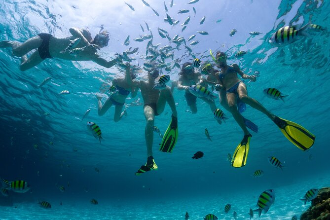 Catamaran Isla Mujeres Tour with Hotel Pick Up included - Time in downtown Isla Mujeres: crafts, streets, and browsing