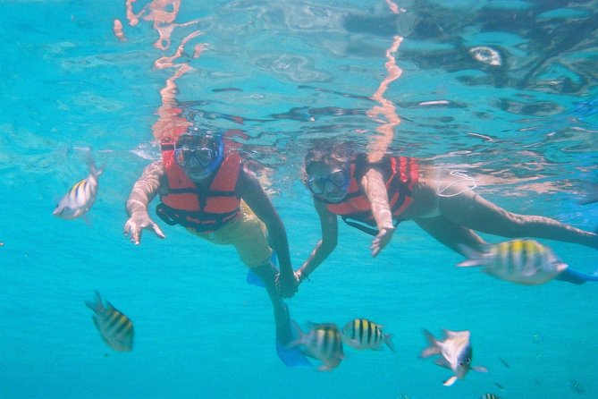 Catamaran Isla Mujeres Tour with Hotel Pick Up included - Getting to Marina Aquatours, and how pickup actually works