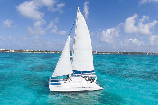 Catamaran Sailing & Snorkeling Experience Isla Mujeres from Playa Del Carmen - Price and value: $89 that mostly holds together
